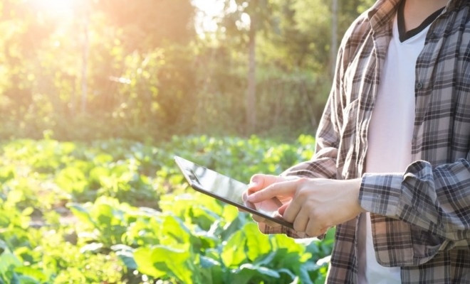 mipe-granturile-pentru-capital-de-lucru-si-microgranturile-destinate-sectorului-agroalimentar-vor-putea-s15213