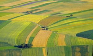 noi-reglementari-privind-vanzarea-terenurilor-agricole-situate-in-extravilan-s15589-300×182