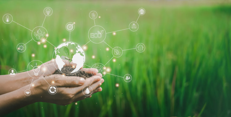 Hand holding soil and seedling with globe hologram. Environment and ecology concept. Save the world project. Nature background.